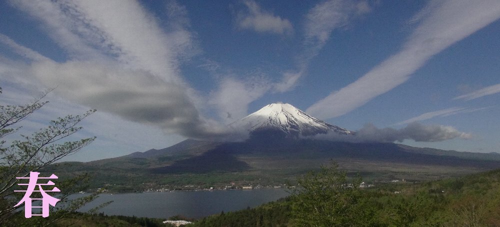 富士山 春